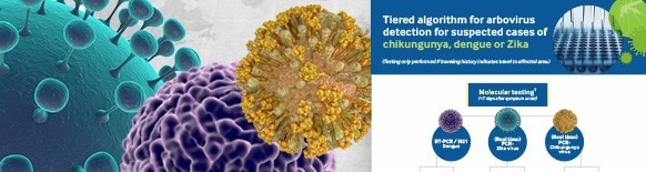 cdc-arbovirus-virus-testing-algorithm-582 cdc-arbovirus-virus-testing-algorithm-582