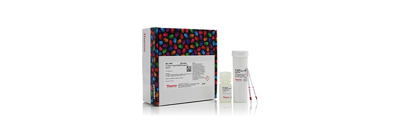 Rapid Detection with Chromogenic Media