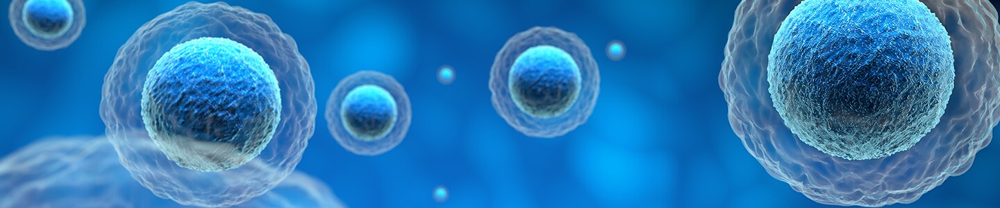 Explore Corning 3D cell culture models