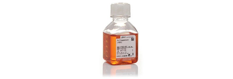 Gibco™ N-2 Supplement (100X)