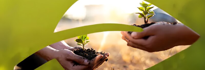 Sustainability Program