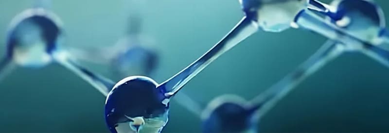 Molecular Biology