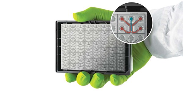 Organ-on-a-Chip Technology: