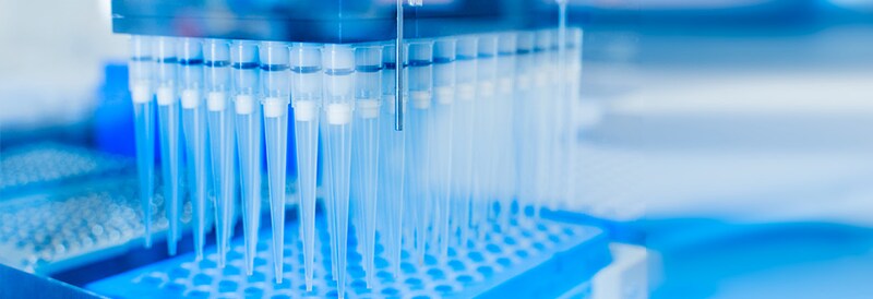 Read the Q&A about lab performance through consultancy and automation 