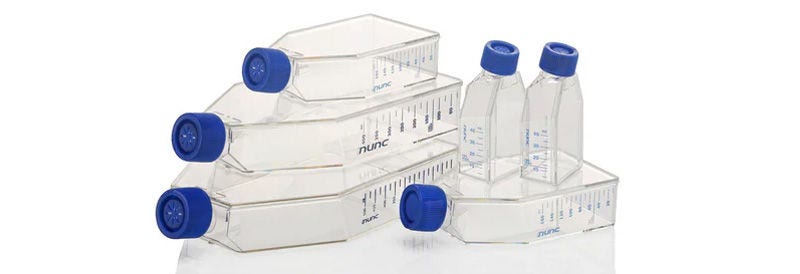 Cell Culture Flasks