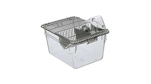 Animal Cages