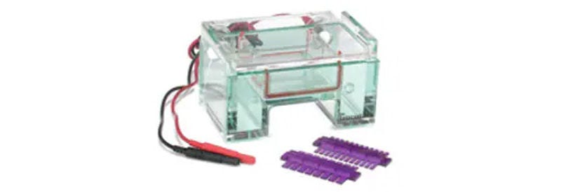 Gel Electrophoresis Equipment and Supplies