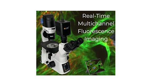 Laxco™ Trinocular Brightfield Upright Compound Microscope