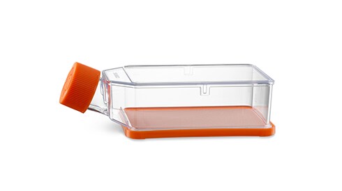 3d cell culture seed