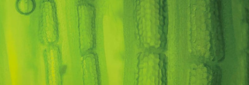 2023 Fisher Science Education Chemicals Catalog