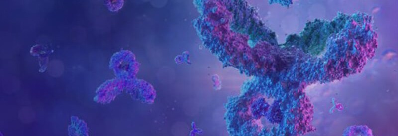 Protein Expression & Analysis