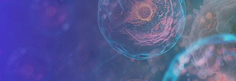 Cell Culture Products