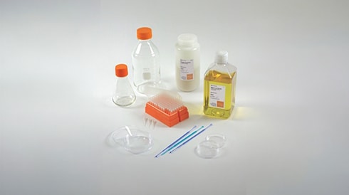 Microbiology preparation