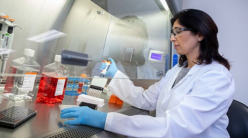 3D Cell Culture seed