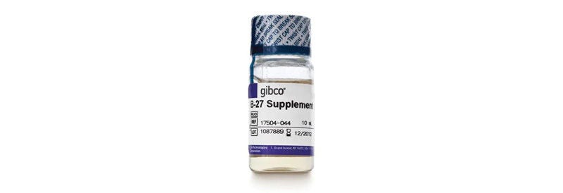 Gibco™ B-27™ Supplement (50X), serum free