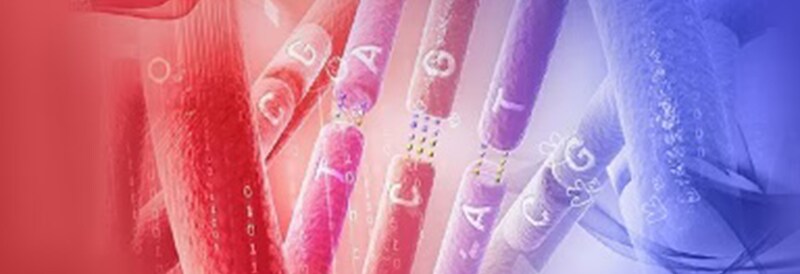 Custom Probes & qPCR Primers