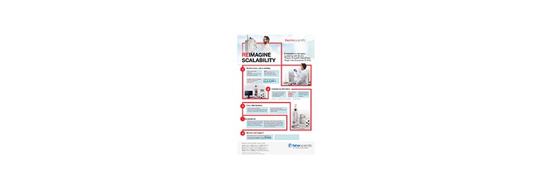 Infographic