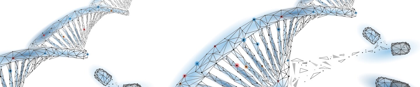 Explore how Applied Biosystems TaqMan multiplex solutions can support stronger workflows for more reliable PCR.