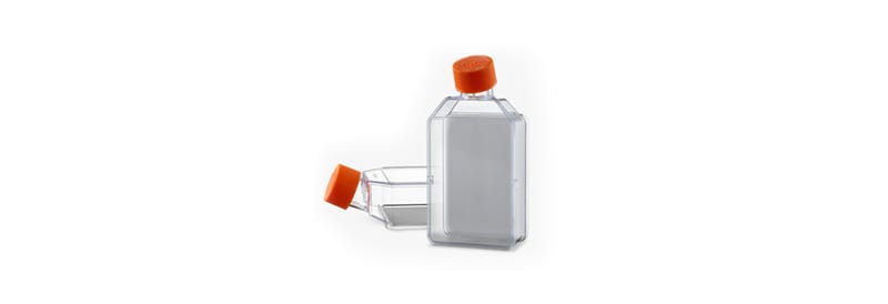 3D Cell Culture