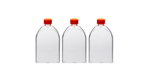 Cell Culture Flasks