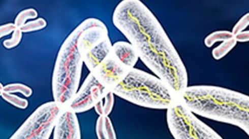 Cystic Fibrosis Transmembrane Regulator Real-Time (CFTR) PCR Solution