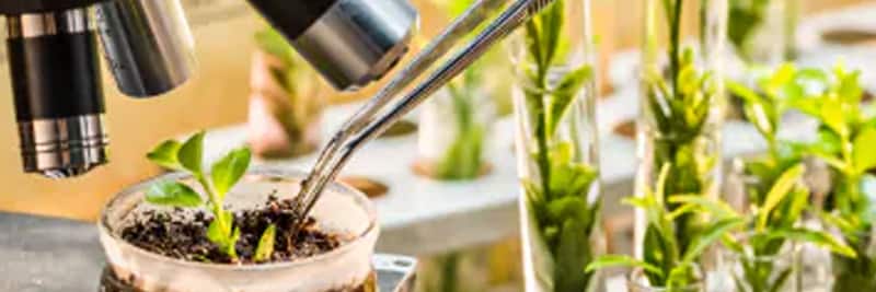 Agricultural & Environmental Science