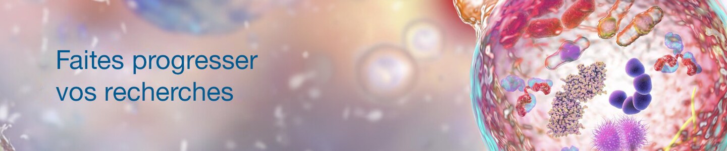 Connect with Your Sales Rep