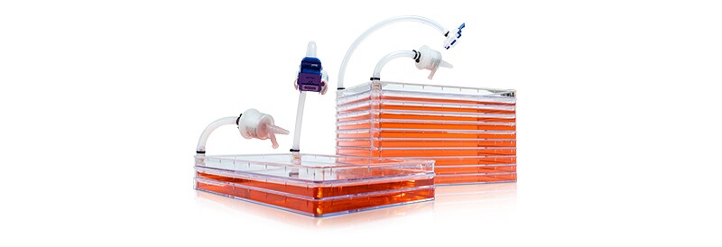 Customize Your Cell Culture Platform