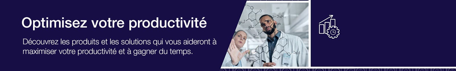 Maximise your Productivity