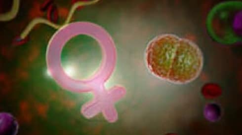 Vaginal Microbiota Testing Real-Time PCR Solutions