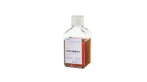 Fetal Bovine Serum