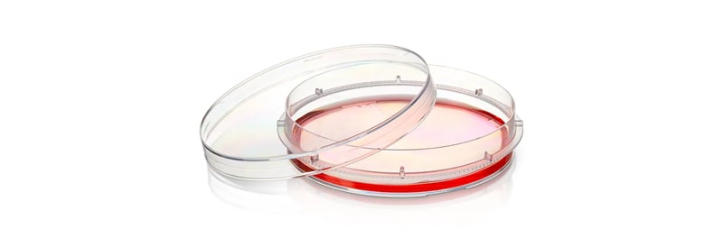 Thermo Scientific Nunc Cell-Culture Treated Multidishes 6 | Buy