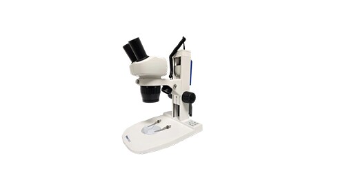 Fisherbrand Advanced Fixed Magnification Stereo Microscope