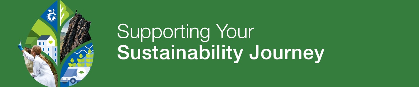 Sustainability Recycling Programs