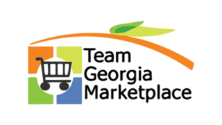 State of Georgia logo