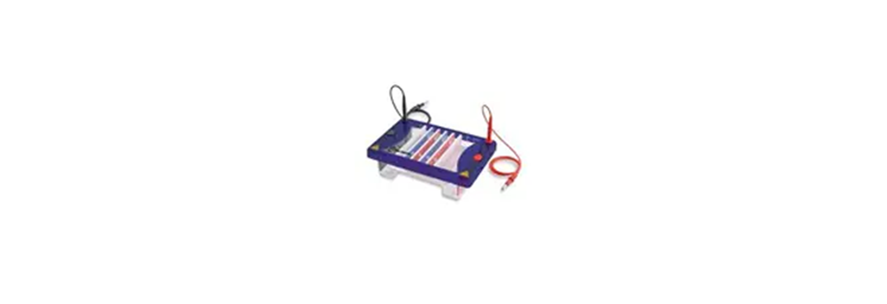 Electrophoresis
