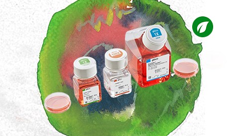 Enable sustainability in your cell culture workflow