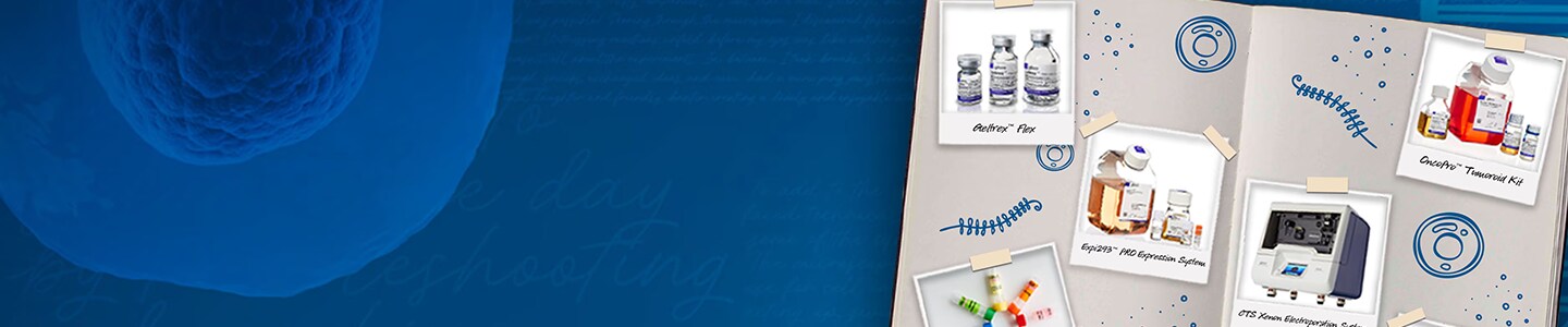 Cell Culture Solutions for Bioprocessing