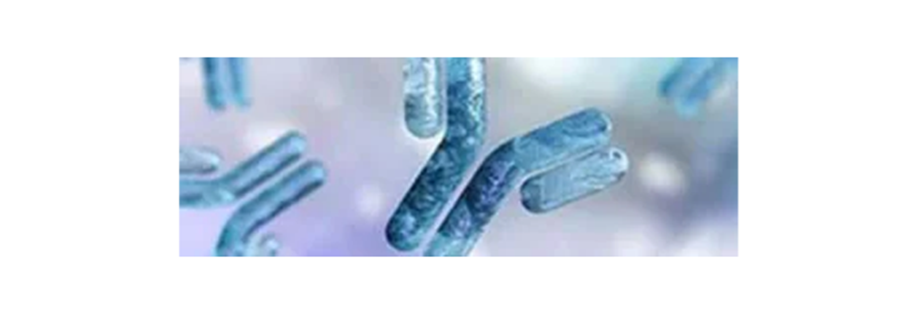 Teaser_Imagery_Layout_dry-1