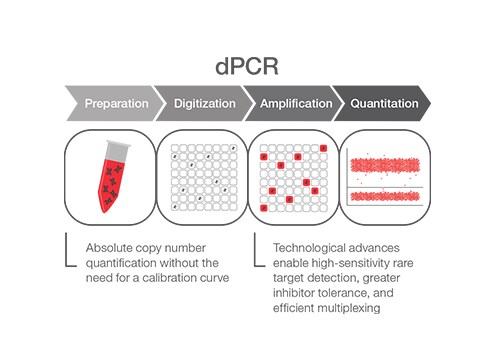 dPCR Infographic