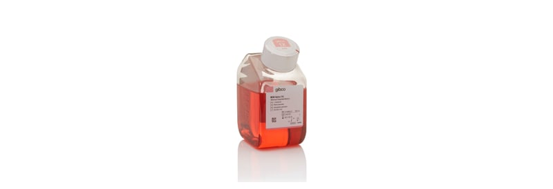 Gibco DMEM, high glucose, pyruvate 500 mL | Buy Online | Gibco