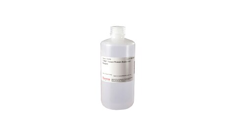 Protein Extraction