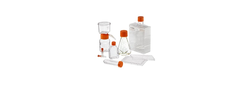 Find cell culture dishes, flasks, and strainers.