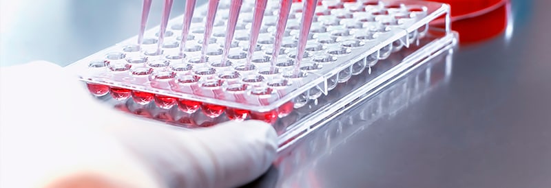 Shop molecular diagnostics solutions