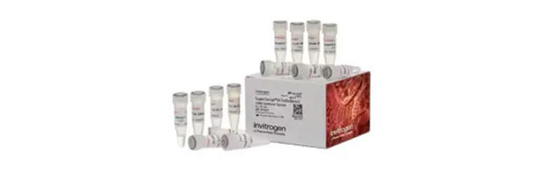 PCR Reagents and Kits