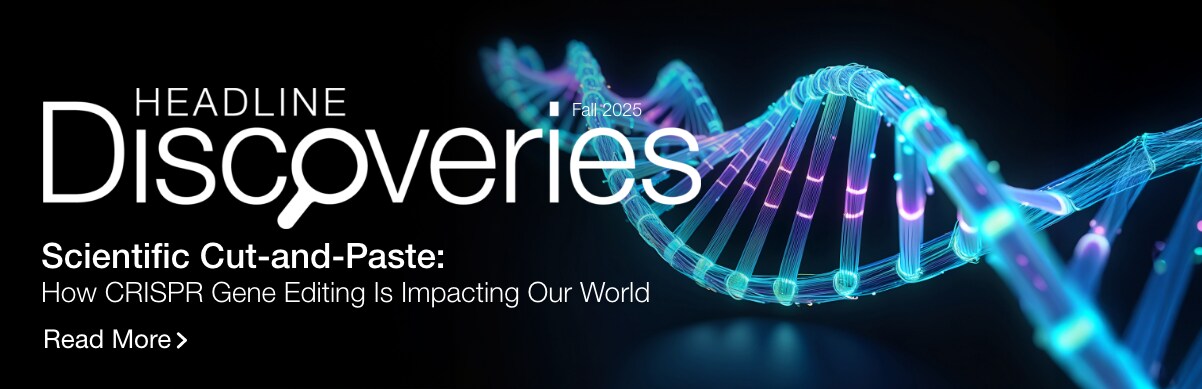 Headline Discoveries