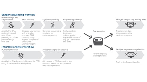 Save Time In Your Workflow