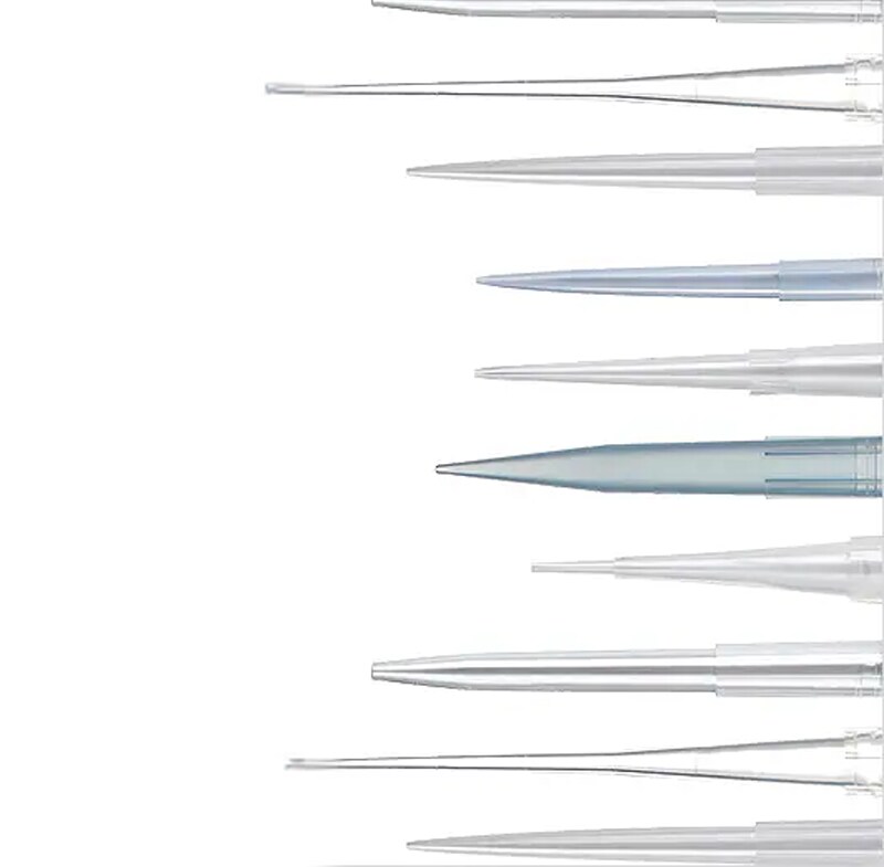 Standards for Fit, Size, and Shape