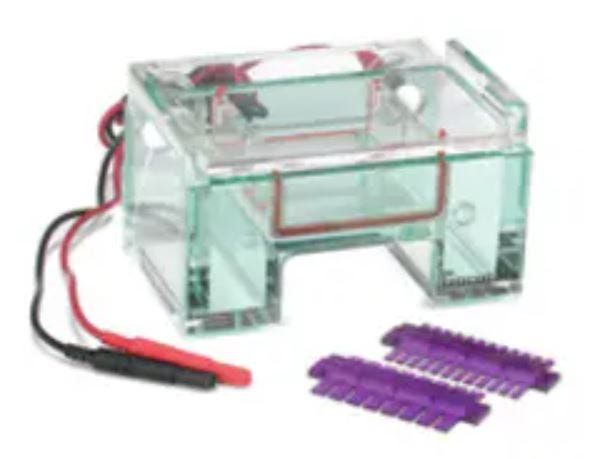 Gel Electrophoresis Equipment and Supplies