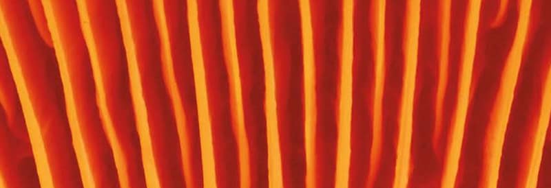 2023 Fisher Science Education Safety Catalog